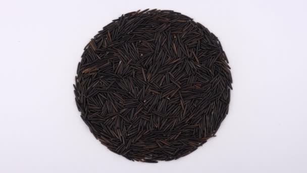 Círculo Forma Montón Arroz Negro Salvaje Crudo — Vídeos de Stock