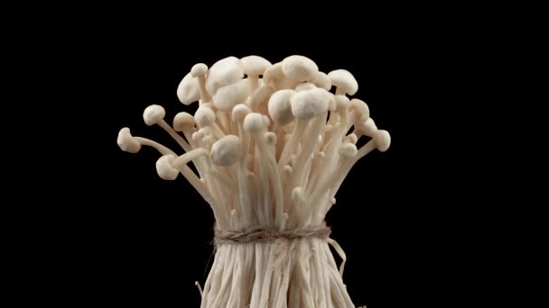 Champignons Enokitake Tournant Sur Plaque Tournante — Video