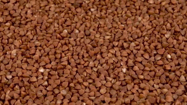 Full Frame Background Toasted Buckwheat — Stock Video