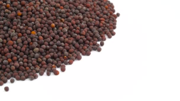 Half Frame Pile Black Mustard Seeds — Stock Video