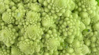 Mini Romanesco brokoli çiçeği tomurcuğu yavaşça