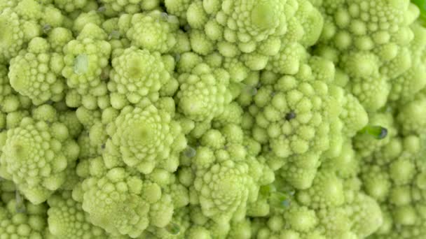 Mini Romanesco Broccoli Floare Muguri Încet — Videoclip de stoc