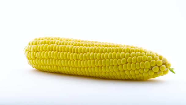 Одна Полностью Очищенная Свежая Кукуруза Вращается — стоковое видео