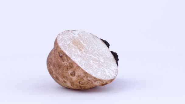 One Half White Truffle One Half — Stock Video