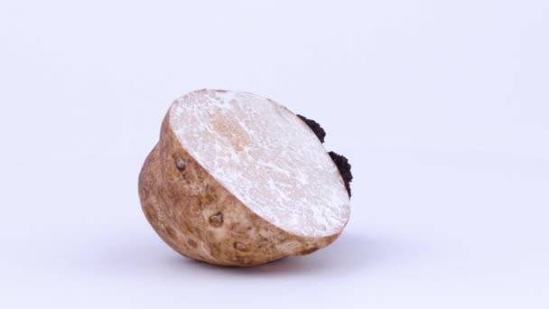 Moitié Une Truffe Blanche Autre Moitié — Video