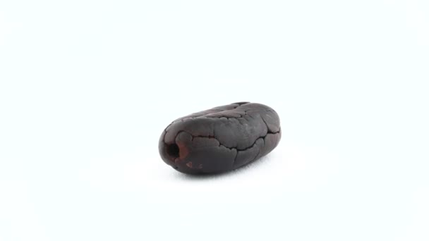 Один Жареный Какао Боб Вращающийся Проигрывателе — стоковое видео