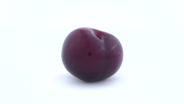 Une Grosse Prune Violette Entière Tournant — Video