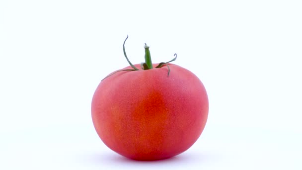 Une Grosse Tomate Rouge Entière Tourne — Video