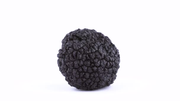 Fungo Intero Tartufo Nero Rotante — Video Stock