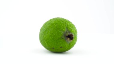 Su damlaları dönüşümlü bütün bir feijoa meyvesi