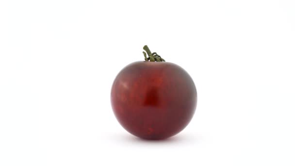 Jeden Cały Indygo Róża Pomidor Ciemnoczerwony Kolor — Wideo stockowe