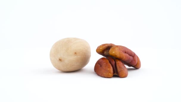 Pecan Nut Shell Two Part Kernel Pecan Nut — ストック動画