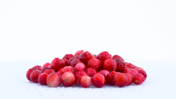 Βίντεο Από Διάφορα Lingonberries Περιστροφή — Αρχείο Βίντεο
