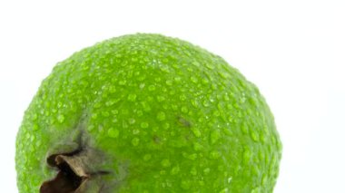 Tüm bir feijoa meyvesini suyla vurmak