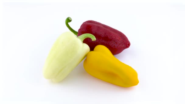 Three Sweet Peppers White Yellow Red Water — Stock Video