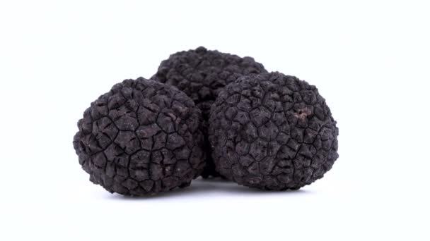 Drie Hele Zwarte Truffelpaddenstoelen Draaiend — Stockvideo