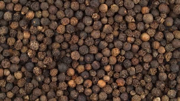 Top View Black Pepper Peppercorn — Stock Video