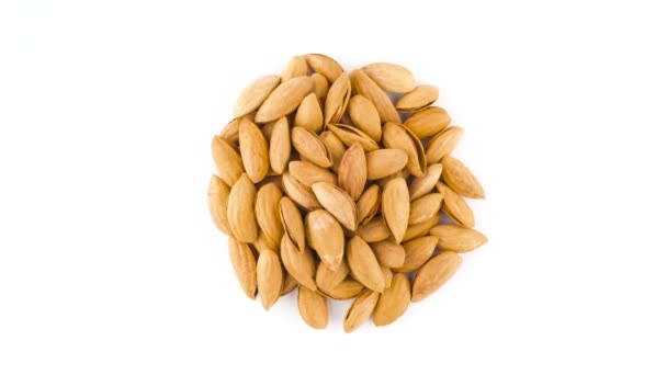 Top View Shelled Almond Nuts Pile — Stock Video