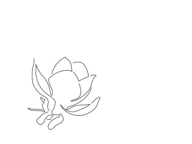 Çiçek çizimi, vektör çizimi. Doğa Koleksiyonu.