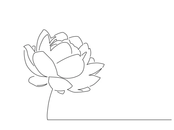 Desenho Linha Flor Desenho Ilustração Vetorial Colecção Natureza —  Vetores de Stock