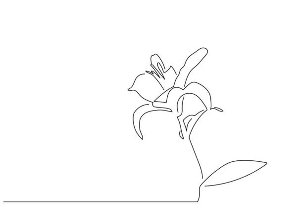 Desenho Linha Flor Desenho Ilustração Vetorial Colecção Natureza —  Vetores de Stock