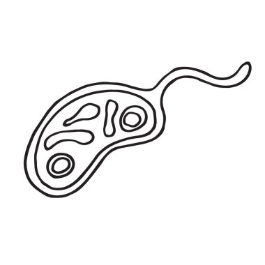 Bakteri hücresi, mikrop, virüs simgeleri. Vektör.