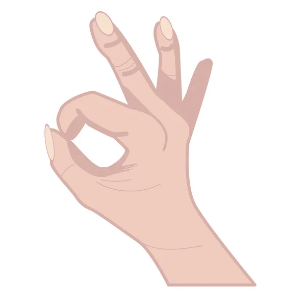 Рука Показує Знак Гаразд Ізольовані Векторні Ілюстрації Людської Руки Векторна — стоковий вектор