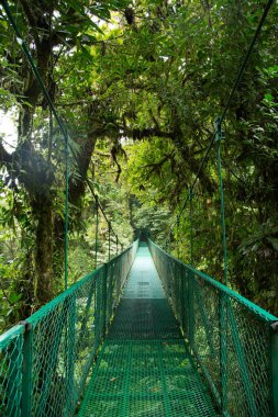 Parktaki asma köprü..