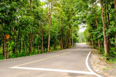 Doğanın yanında tek bir yol