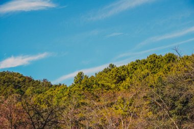 Mavi arkaplanı olan büyük bir dağ