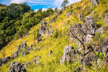 Kayalıklı dağ tepesi otlar ve berrak mavi gökyüzü arkaplanı