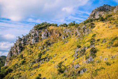 Kayalıklı dağ tepesi otlar ve berrak mavi gökyüzü arkaplanı