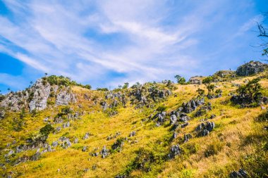 Mavi gökyüzü arka planlı doğa yeşil tepeler
