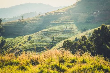 Güneş ışığı ve gökyüzü arkaplanlı dağ manzarası