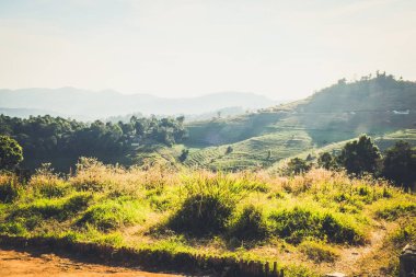 Güneş ışığı ve gökyüzü arkaplanlı dağ manzarası