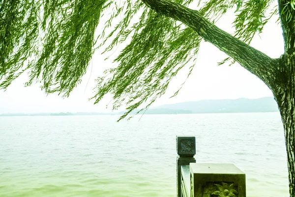 白色天空背景和树木的大湖水 — 图库照片