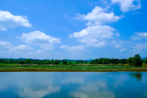 绿地蓝天的大湖 — 图库照片