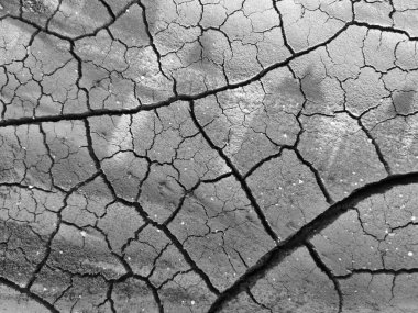 Kurumuş, çatlamış toprak parçaları.