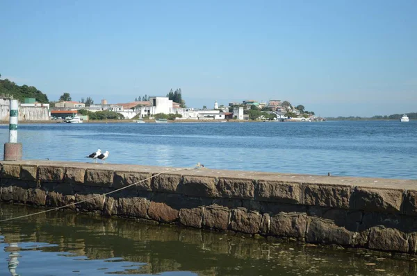 Lado Del Mar Con Gaviotas —  Fotos de Stock