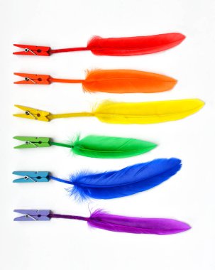 LGBT bayrağı beyaz arka planda izole edilmiş. LGBT gay gururunun renk sembolünün mandallarında gökkuşağı tüyleri. Uzayı kopyala, afiş