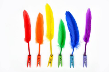 LGBT bayrağı beyaz arka planda izole edilmiş. LGBT gay gururunun renk sembolünün mandallarında gökkuşağı tüyleri. Uzayı kopyala, afiş