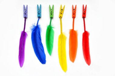 LGBT bayrağı beyaz arka planda izole edilmiş. LGBT gay gururunun renk sembolünün mandallarında gökkuşağı tüyleri. Uzayı kopyala, afiş