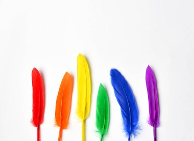 LGBT bayrağı beyaz arka planda izole edilmiş. LGBT gay onur sembolünün gökkuşağı renkli tüyleri. Uzayı kopyala, afiş
