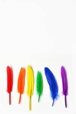 LGBT bayrağı beyaz arka planda izole edilmiş. LGBT gay onur sembolünün gökkuşağı renkli tüyleri. Uzayı kopyala, afiş