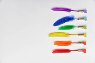 LGBT bayrağı beyaz arka planda izole edilmiş. LGBT gay onur sembolünün gökkuşağı renkli tüyleri. Uzayı kopyala, afiş