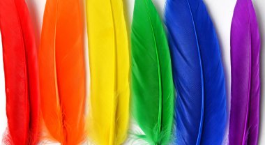 LGBT bayrağı beyaz arka planda izole edilmiş. LGBT gay onur sembolünün gökkuşağı renkli tüyleri. Uzayı kopyala, afiş