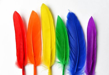 LGBT bayrağı beyaz arka planda izole edilmiş. LGBT gay onur sembolünün gökkuşağı renkli tüyleri. Uzayı kopyala, afiş