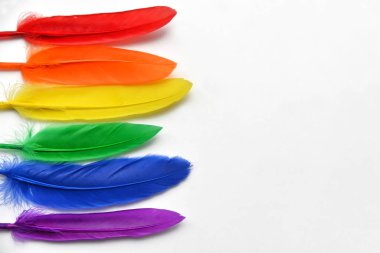 LGBT bayrağı beyaz arka planda izole edilmiş. LGBT gay onur sembolünün gökkuşağı renkli tüyleri. Uzayı kopyala, afiş