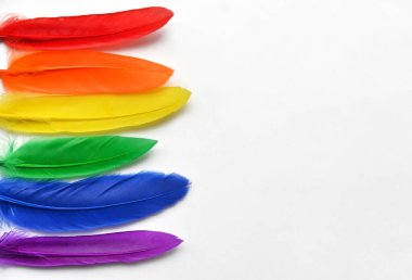 LGBT bayrağı beyaz arka planda izole edilmiş. LGBT gay onur sembolünün gökkuşağı renkli tüyleri. Uzayı kopyala, afiş