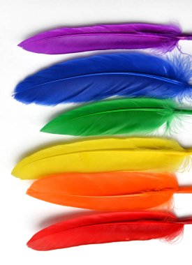 LGBT bayrağı beyaz arka planda izole edilmiş. LGBT gay onur sembolünün gökkuşağı renkli tüyleri. Uzayı kopyala, afiş